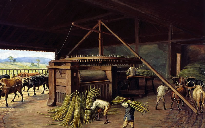 Moagem de cana-de-açúcar na Fazenda Cachoeira, em Campinas. Benedito Calixto (1853–1927). Acervo Museu Paulista USP